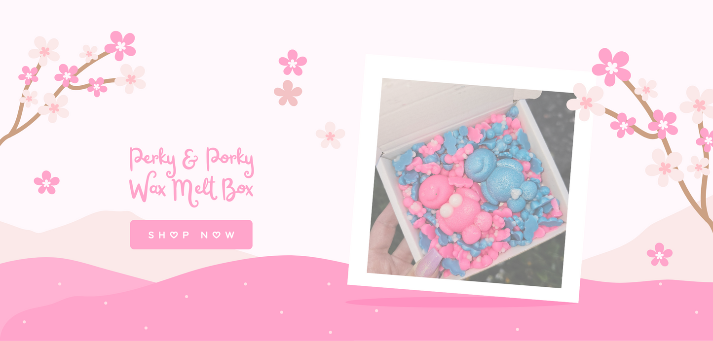 Perky & Porky Wax Melt Box π