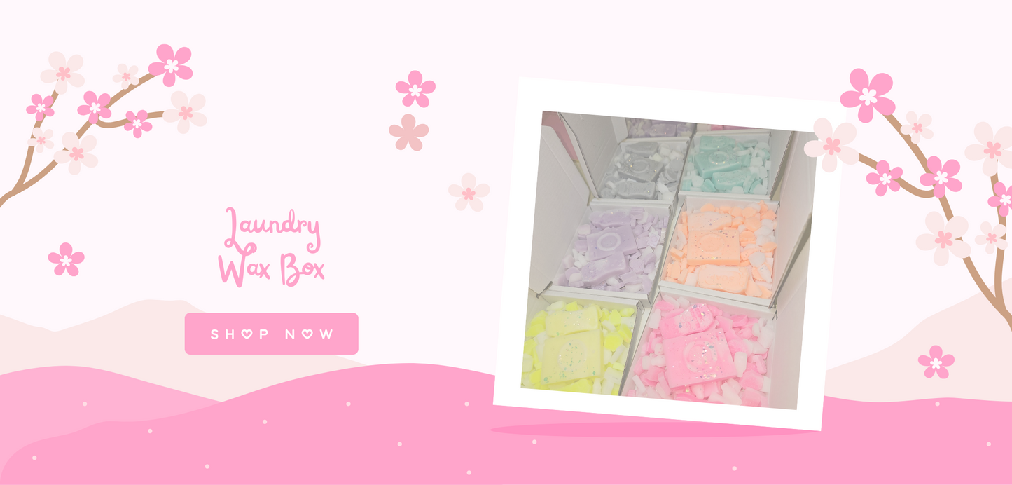 Laundry Wax Box 100g