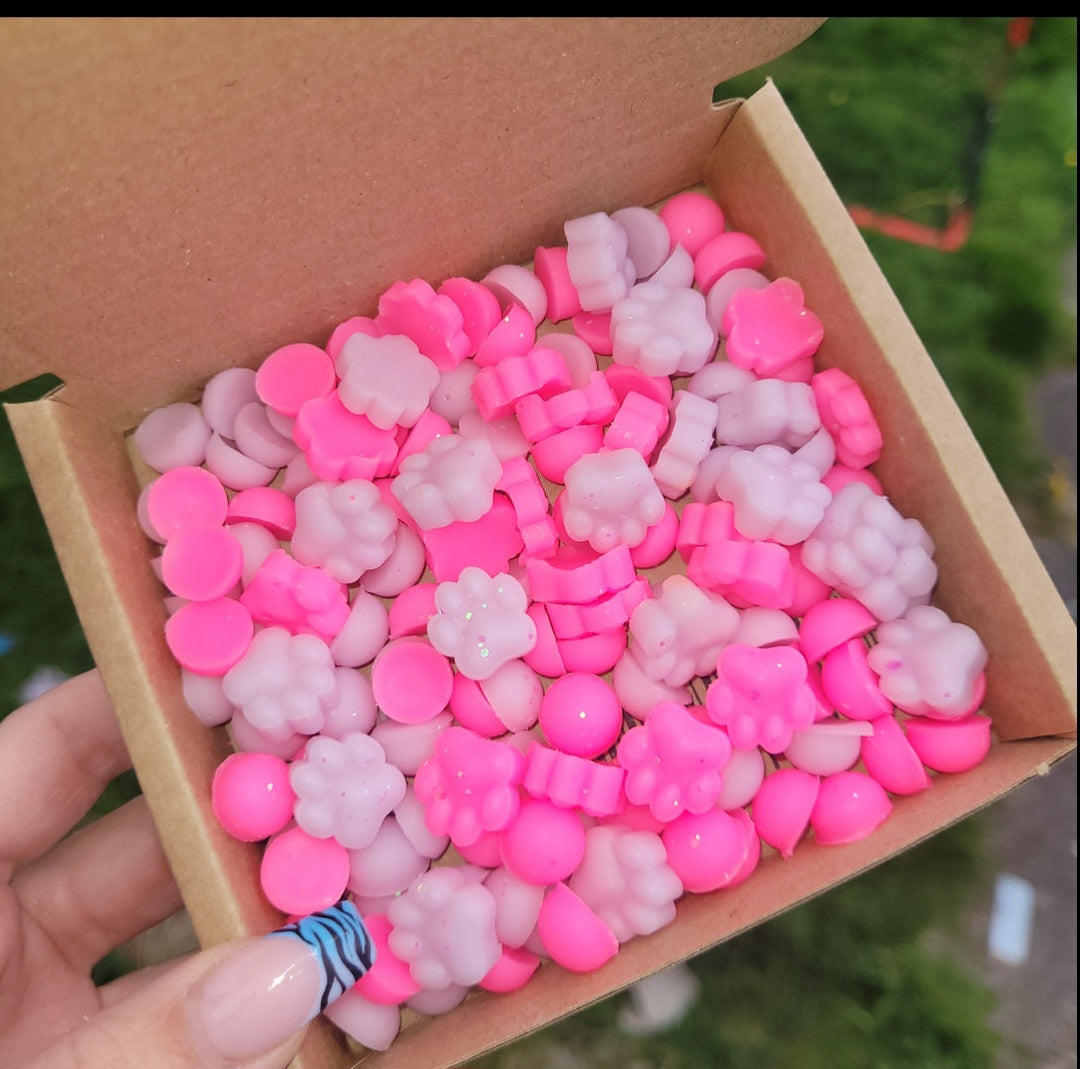 Puppy Paw Wax Melt Box