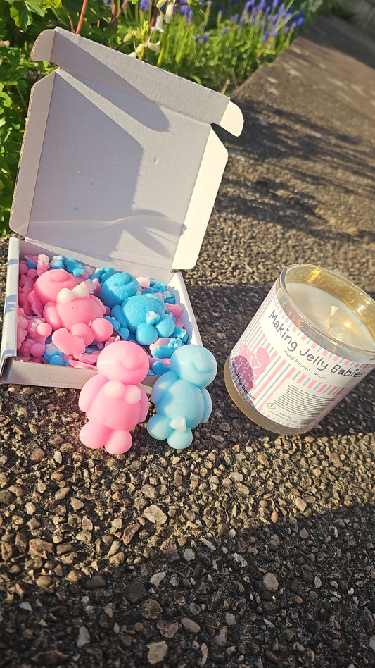 Perky & Porky Mystery Candle/ Wax Melt Bundle