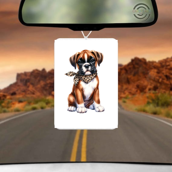 Rainbow Drops Car Air Freshener Pad Choose Your Design