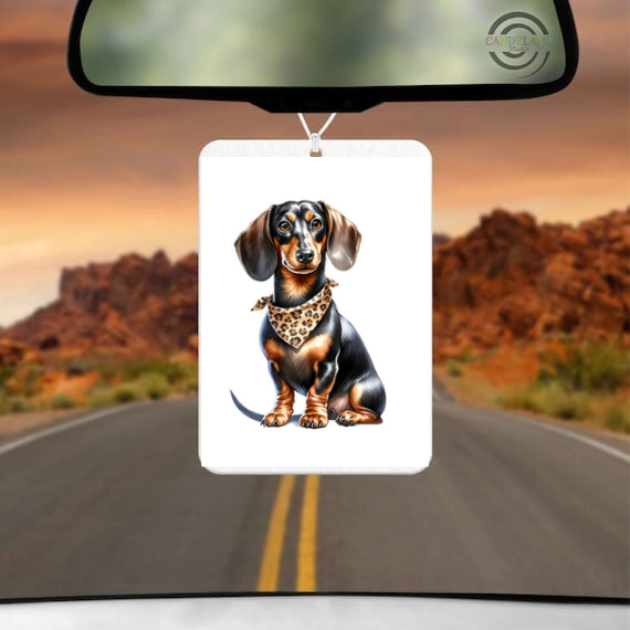 Rainbow Drops Car Air Freshener Pad Choose Your Design