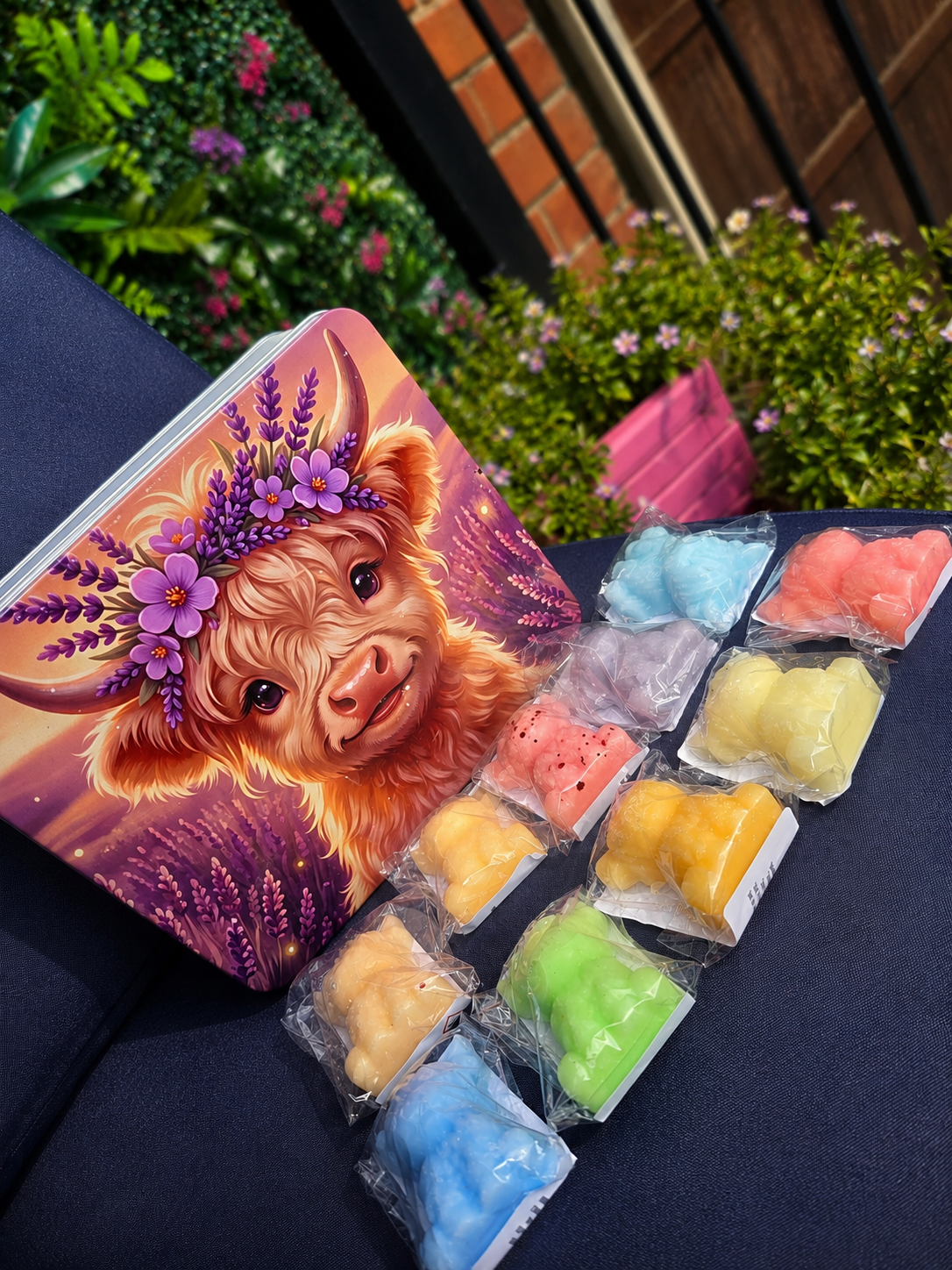 Highland cow tin & 10 Highland cow wax melts