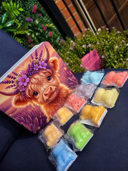 Highland cow tin & 10 Highland cow wax melts