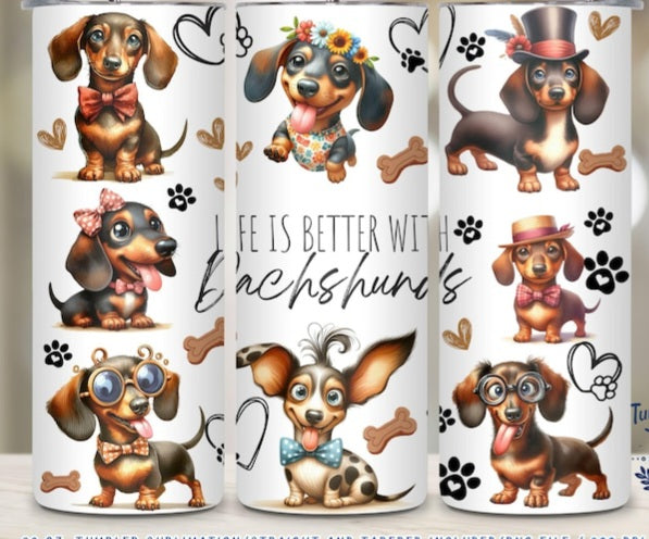 All Designs Stainless Steel 20oz Tumbler